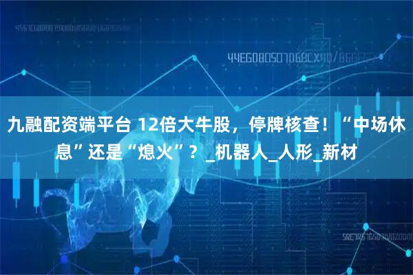 九融配资端平台 12倍大牛股，停牌核查！“中场休息”还是“熄火”？_机器人_人形_新材