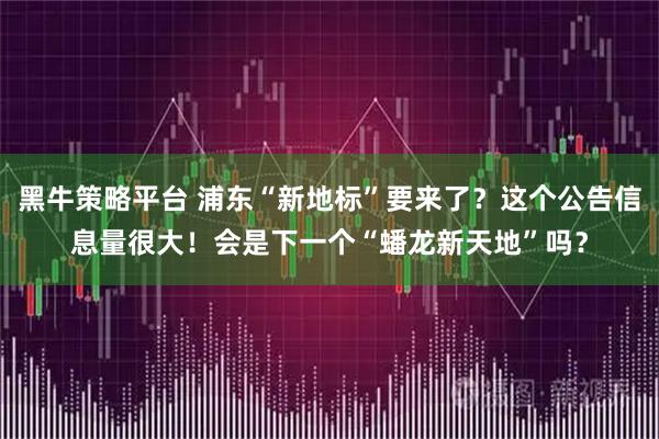 黑牛策略平台 浦东“新地标”要来了？这个公告信息量很大！会是下一个“蟠龙新天地”吗？