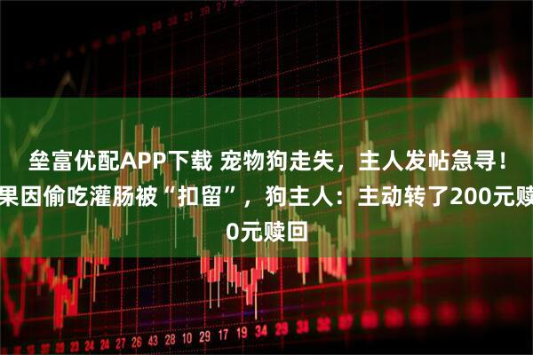 垒富优配APP下载 宠物狗走失，主人发帖急寻！结果因偷吃灌肠被“扣留”，狗主人：主动转了200元赎回