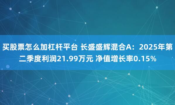 买股票怎么加杠杆平台 长盛盛辉混合A：2025年第二季度利润21.99万元 净值增长率0.15%
