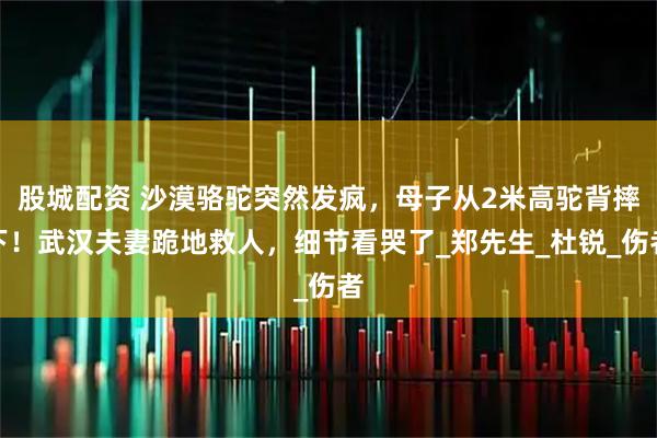 股城配资 沙漠骆驼突然发疯，母子从2米高驼背摔下！武汉夫妻跪地救人，细节看哭了_郑先生_杜锐_伤者