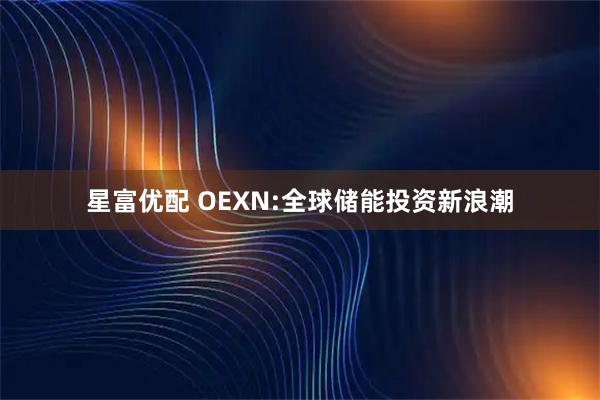 星富优配 OEXN:全球储能投资新浪潮